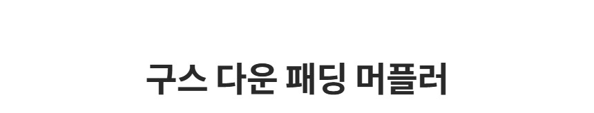 제품 타이틀