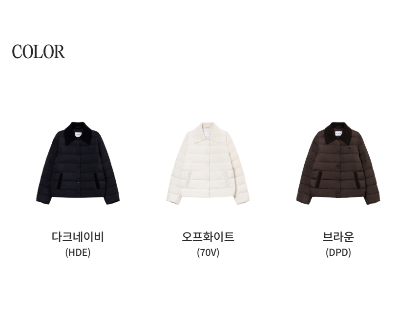 컬러 칩