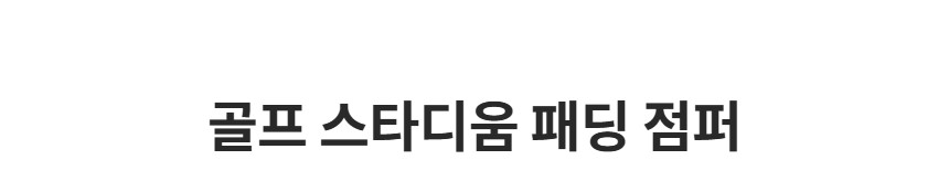 제품 타이틀