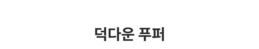 제품 타이틀