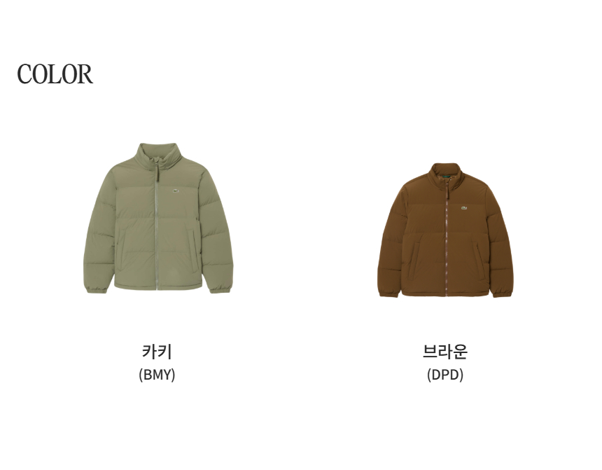 컬러 칩