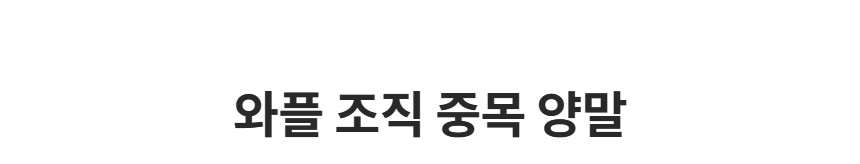 제품 타이틀